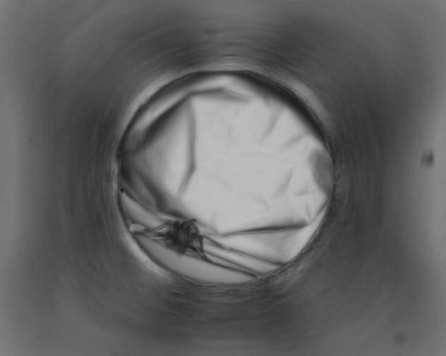 X0000092261476200710121329