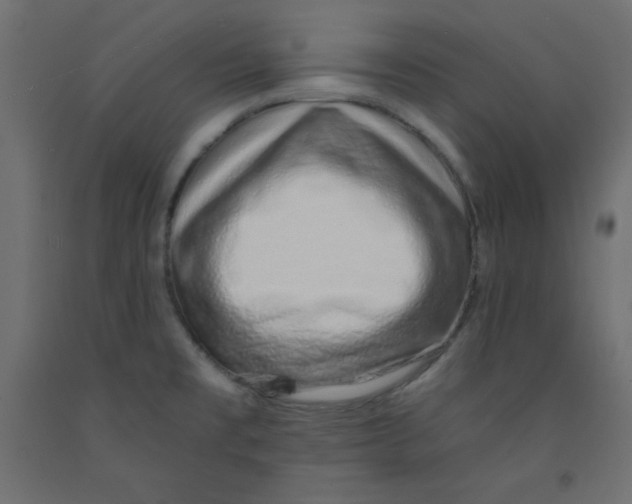 X0000092261477200710121329