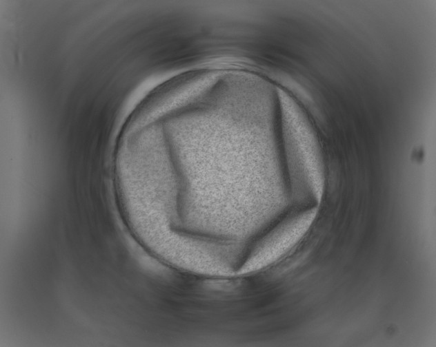 X0000092261478200710121329