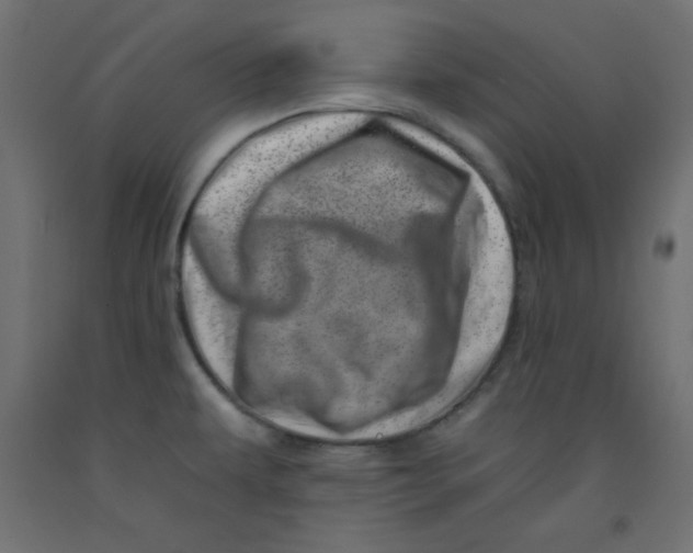 X0000092261479200710121329