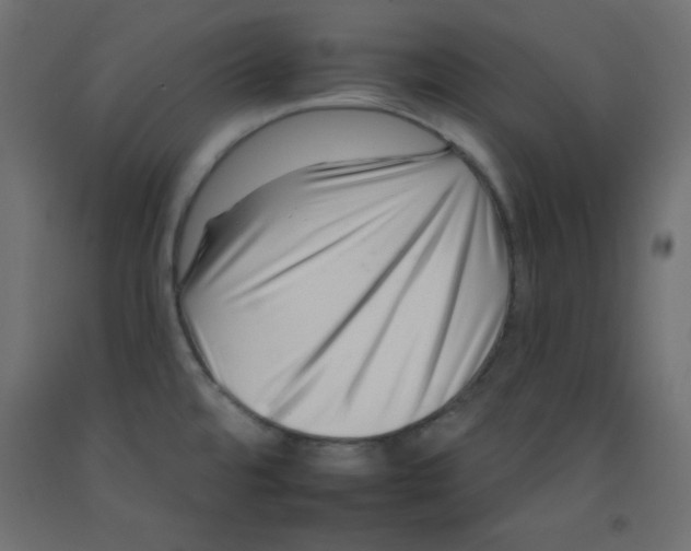 X0000092261480200710121329