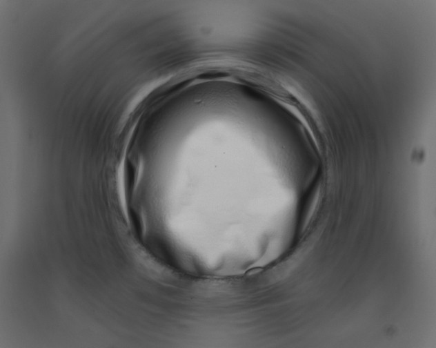 X0000092261481200710121329