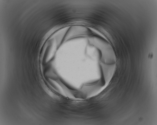 X0000092261482200710121329