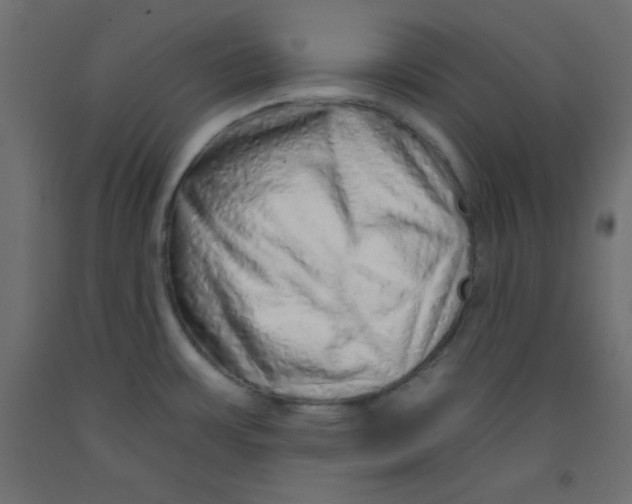 X0000092261483200710121329