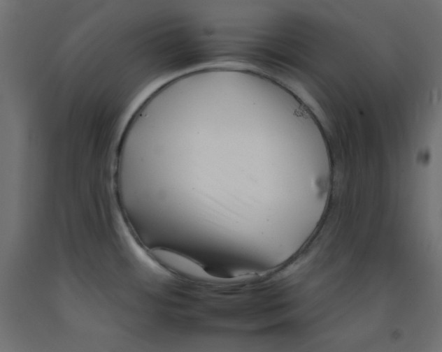 X0000092261484200710121329