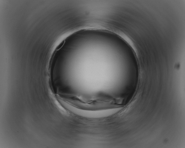 X0000092261485200710121329