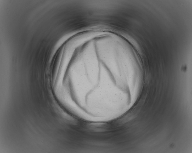 X0000092261486200710121329