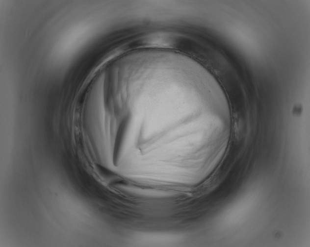 X0000092261487200710121329