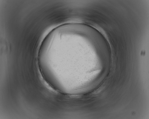 X0000092261488200710121329