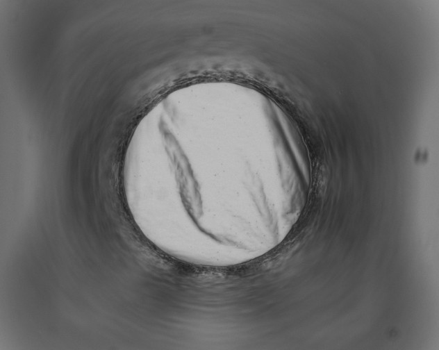 X0000092261489200710121328