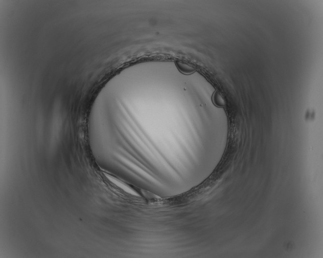 X0000092261490200710121328