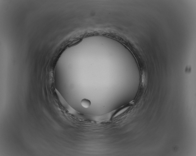 X0000092261492200710121328