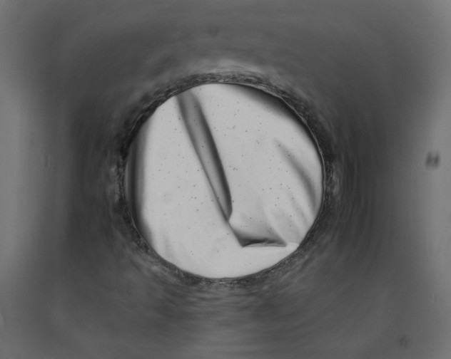 X0000092261493200710121328