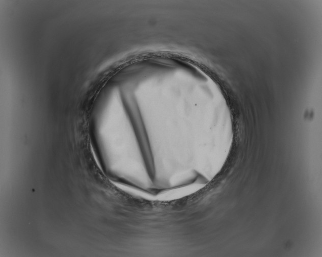 X0000092261494200710121328