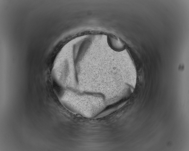 X0000092261495200710121328