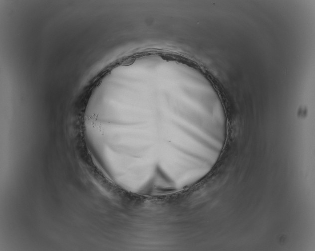 X0000092261496200710121328