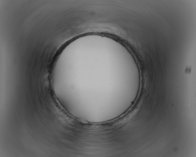 X0000092261497200710121328