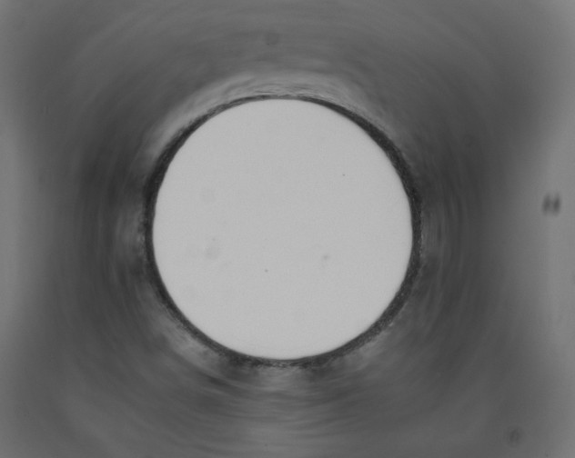 X0000092261498200710121328