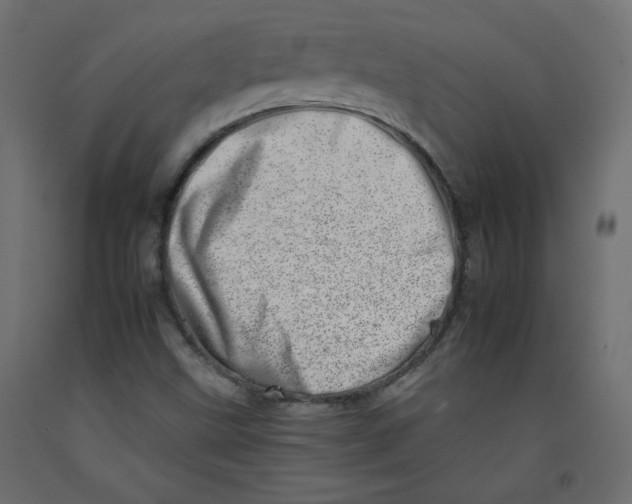 X0000092261499200710121328