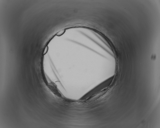 X0000092261500200710121328