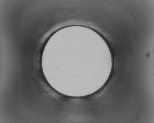 X0000092261502200710121328