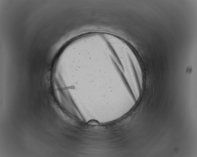 X0000092261503200710121328