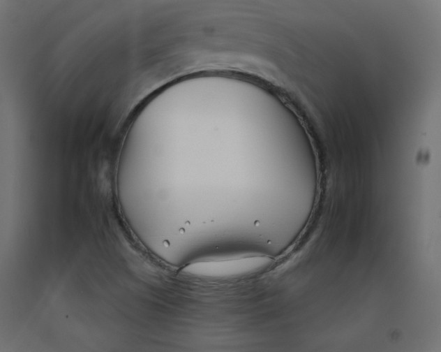 X0000092261505200710121328