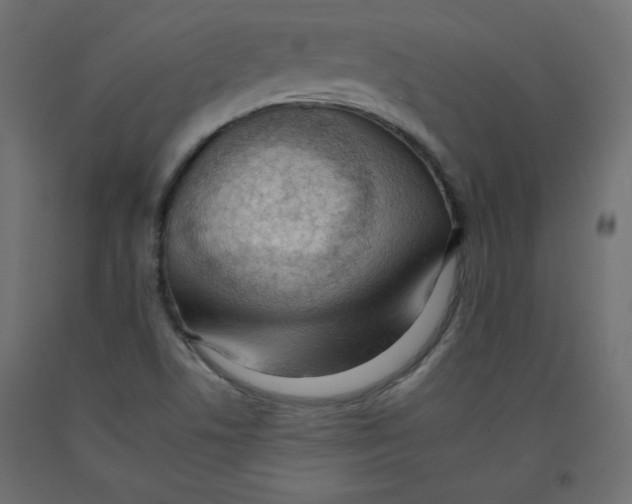 X0000092261506200710121328