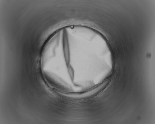 X0000092261507200710121328