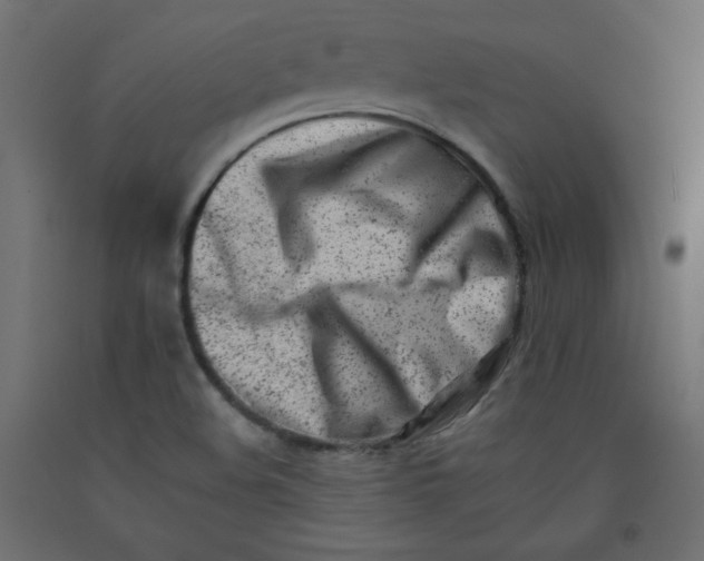 X0000092261508200710121328