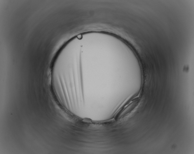 X0000092261509200710121328