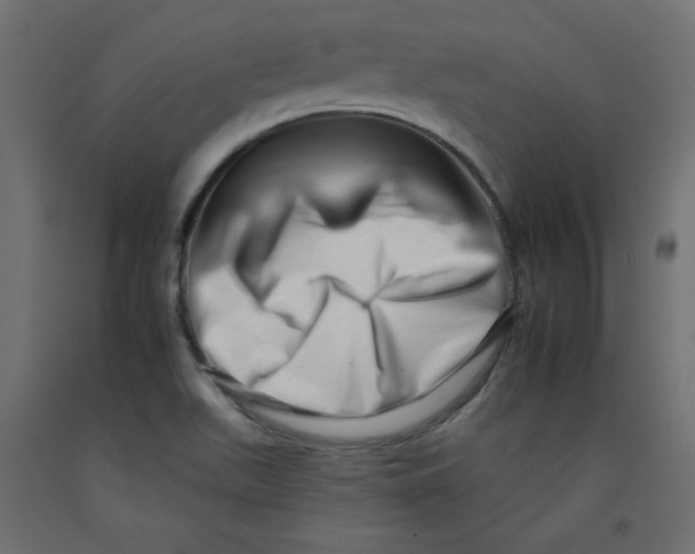 X0000092261511200710121329