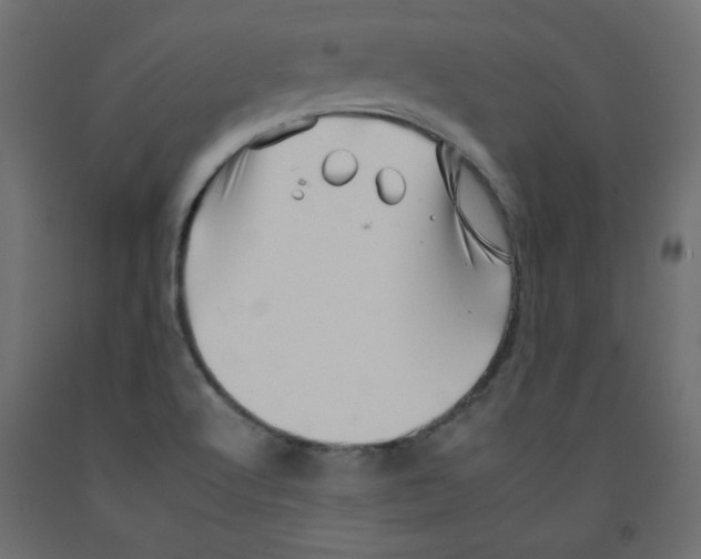 X0000092261512200710121329