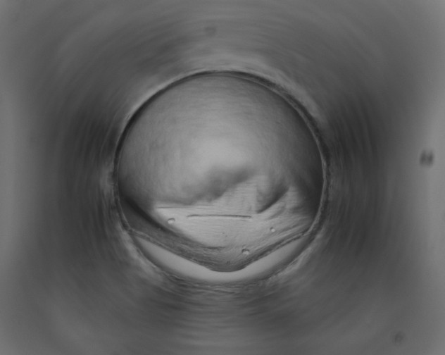 X0000092261513200710121329