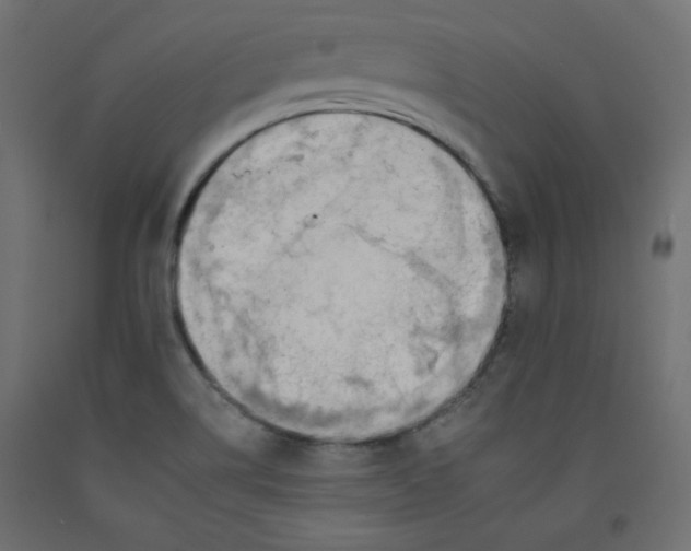 X0000092261514200710121329