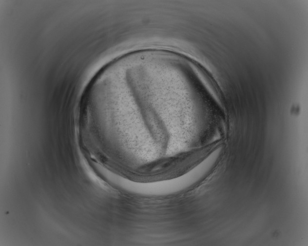 X0000092261515200710121329