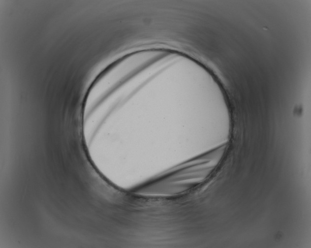 X0000092261516200710121329