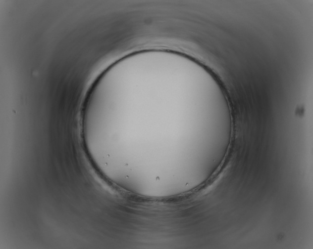 X0000092261517200710121329