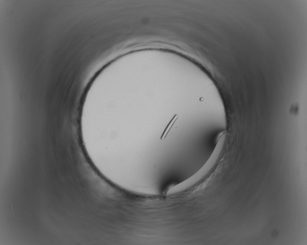 X0000092261518200710121329