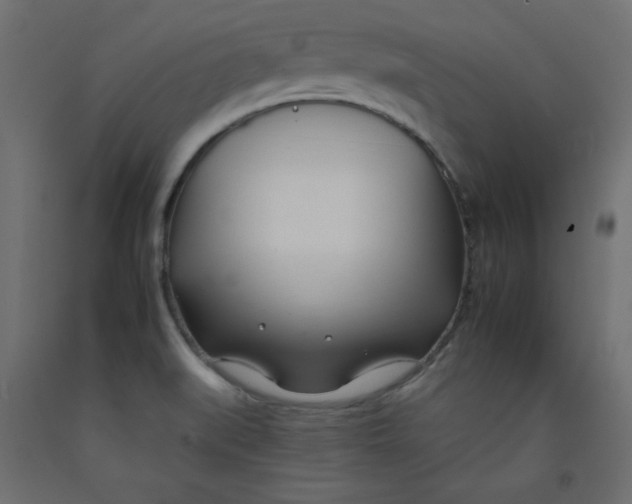 X0000092261519200710121329