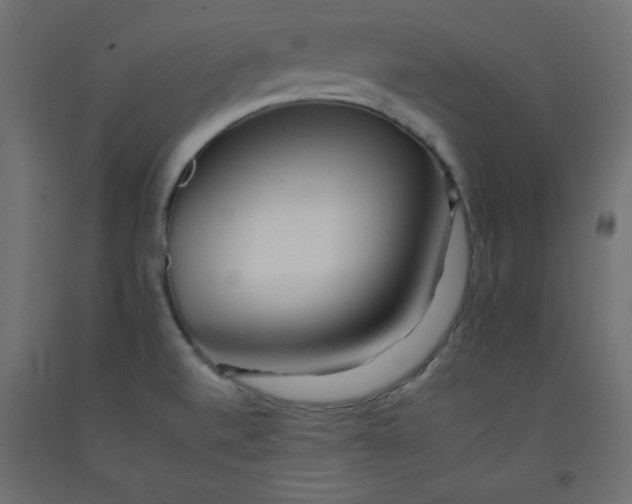 X0000092261520200710121329