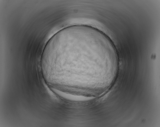 X0000092261521200710121329