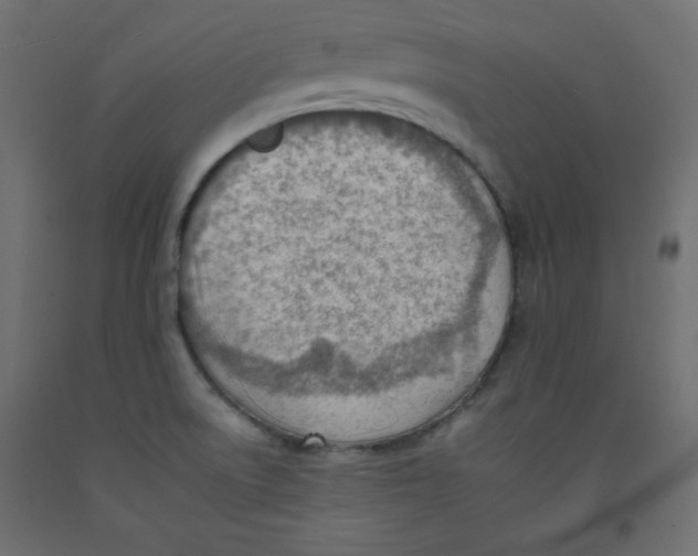 X0000092261522200710121329