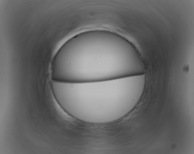 X0000092261524200710121329