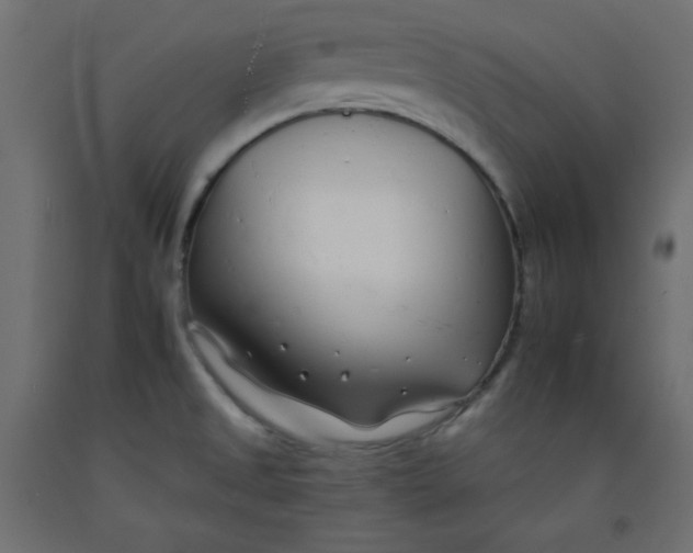 X0000092261525200710121329