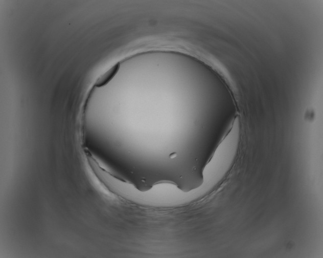 X0000092261528200710121329