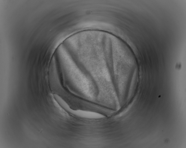 X0000092261529200710121329