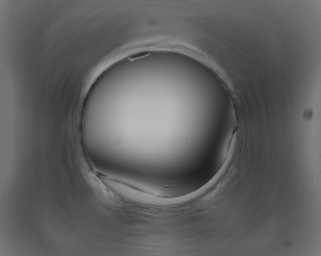 X0000092261530200710121329