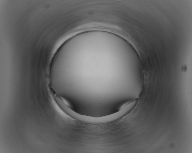 X0000092261531200710121329