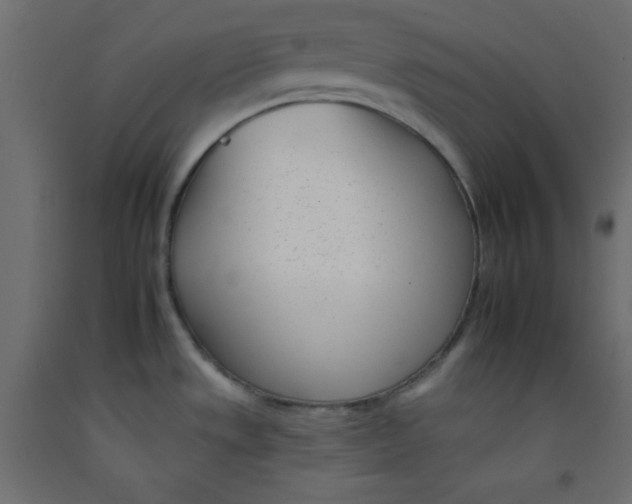 X0000092261533200710121329